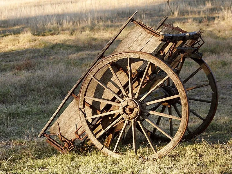 Shit Disturbers Reinvent the Wheel